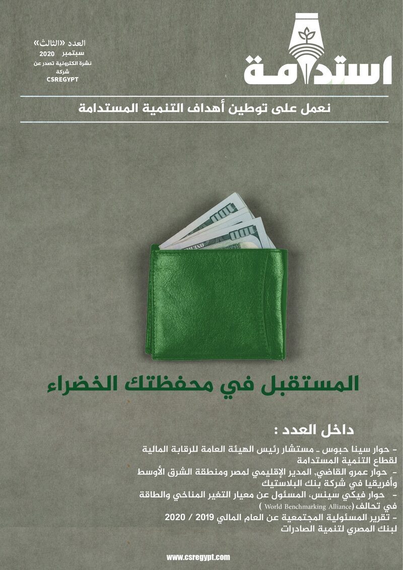Issue 3